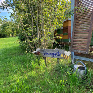 Bienengarten Bild des Bienengartens