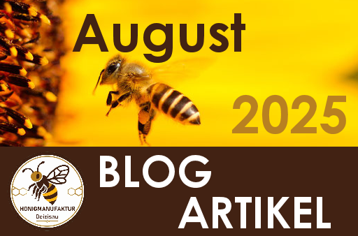 BLOG Eintrag August