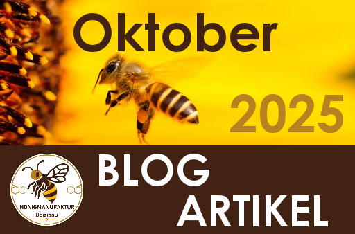 BLOG Eintrag Oktober