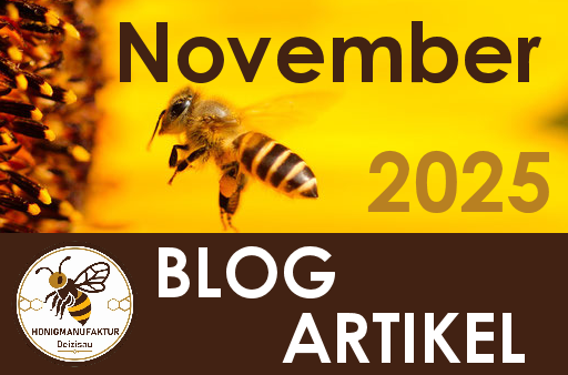 BLOG Eintrag November