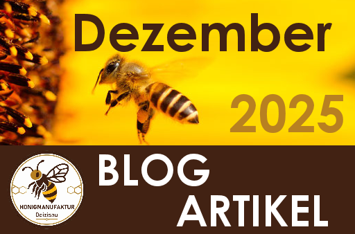 BLOG Eintrag Dezember