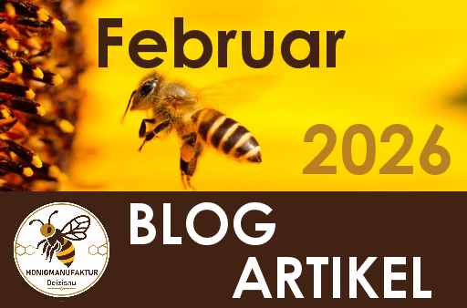 BLOG Eintrag Februar