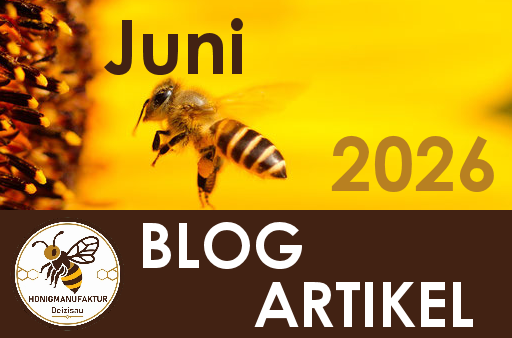 BLOG Eintrag Juni